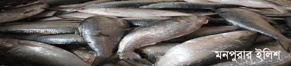 মনপুরার ইলিশ