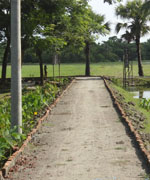 স্থানীয় সরকার প্রকৌশল