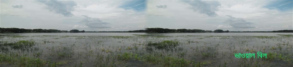 ভাওয়াল বিল