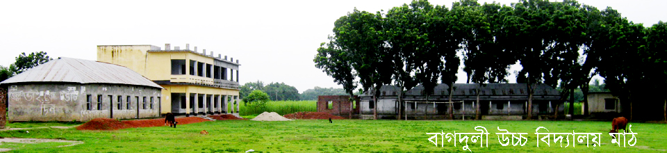 বাগদুলী সরকারী প্রাথমিক বিদ্যালয়