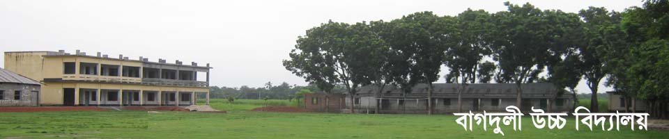 বাগদুলী উচ্চ বিদ্যালয়