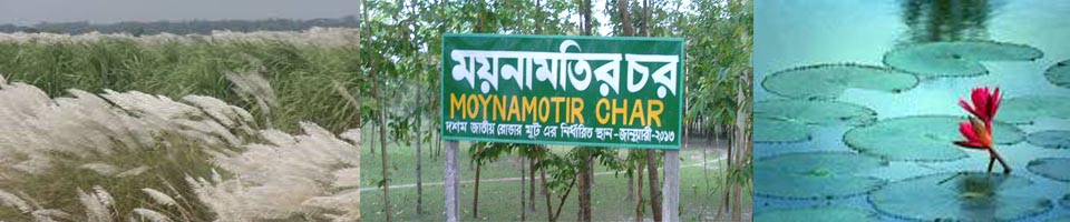 ময়নামতির চর
