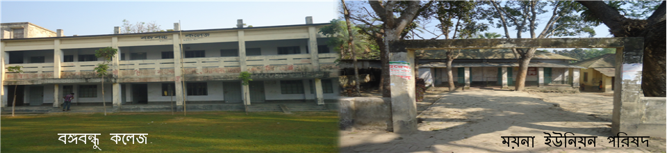 বঙ্গবন্ধু কলেজ