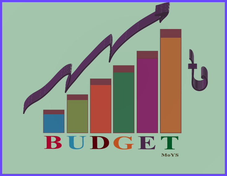 বাজেট ও প্রকল্প