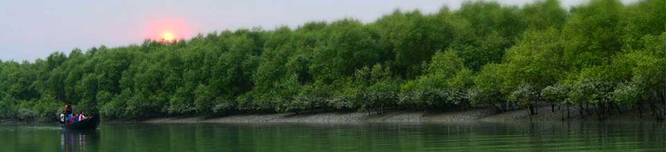 সুন্দরবন