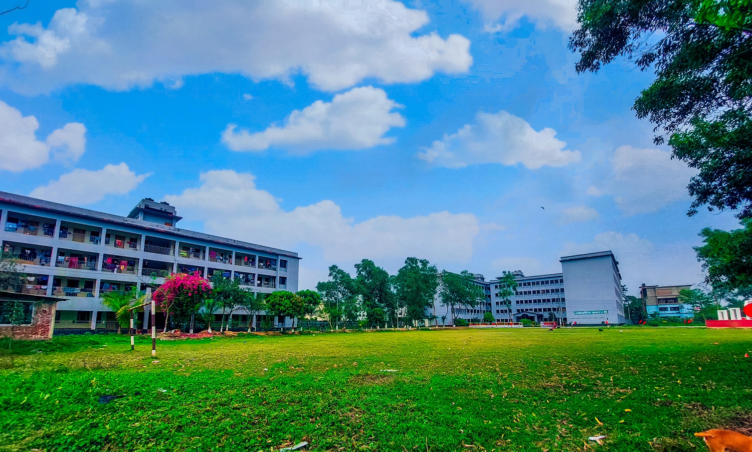 ক্যাম্পাস ফটোগ্রাফি