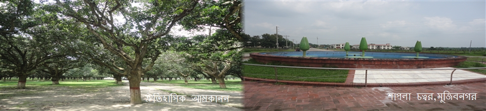 আম্রাকানন ও শাপলা