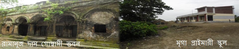 মৃগা ইউনিয়ন পরিষদ ভবন