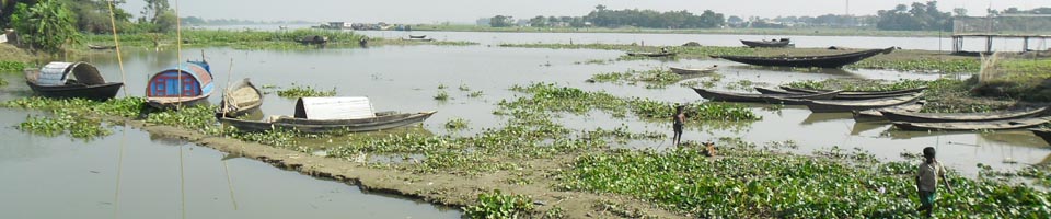 মৃগা ইউনিয়নে বর্ষার শেষ দৃশ্য