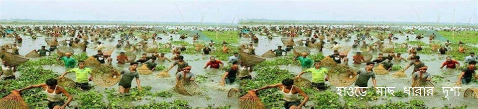 হাওরে মাছ ধরার একটি অনুপম দৃশ্য