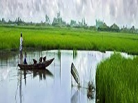 শিক্ষা সেবা