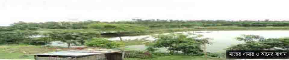 মৎস খামার ও আম বাগান