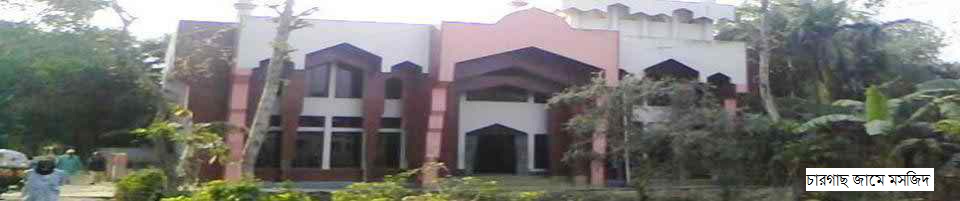 ব্যানার