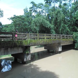 স্থানীয় সরকার প্রকৌশল