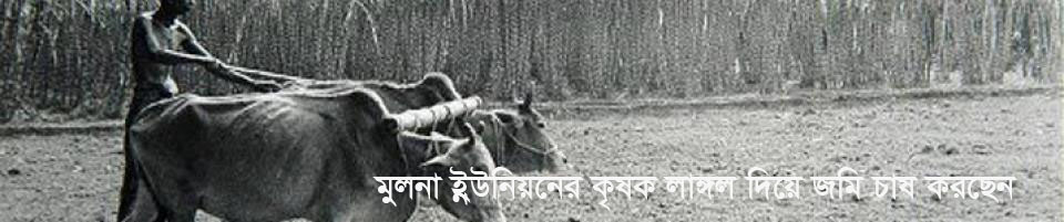 কৃষক
