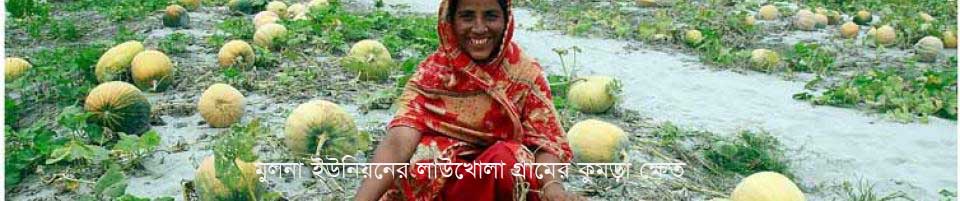 মুলনা