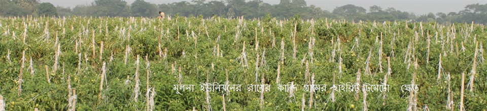 মূলনা ইউনিয়ন