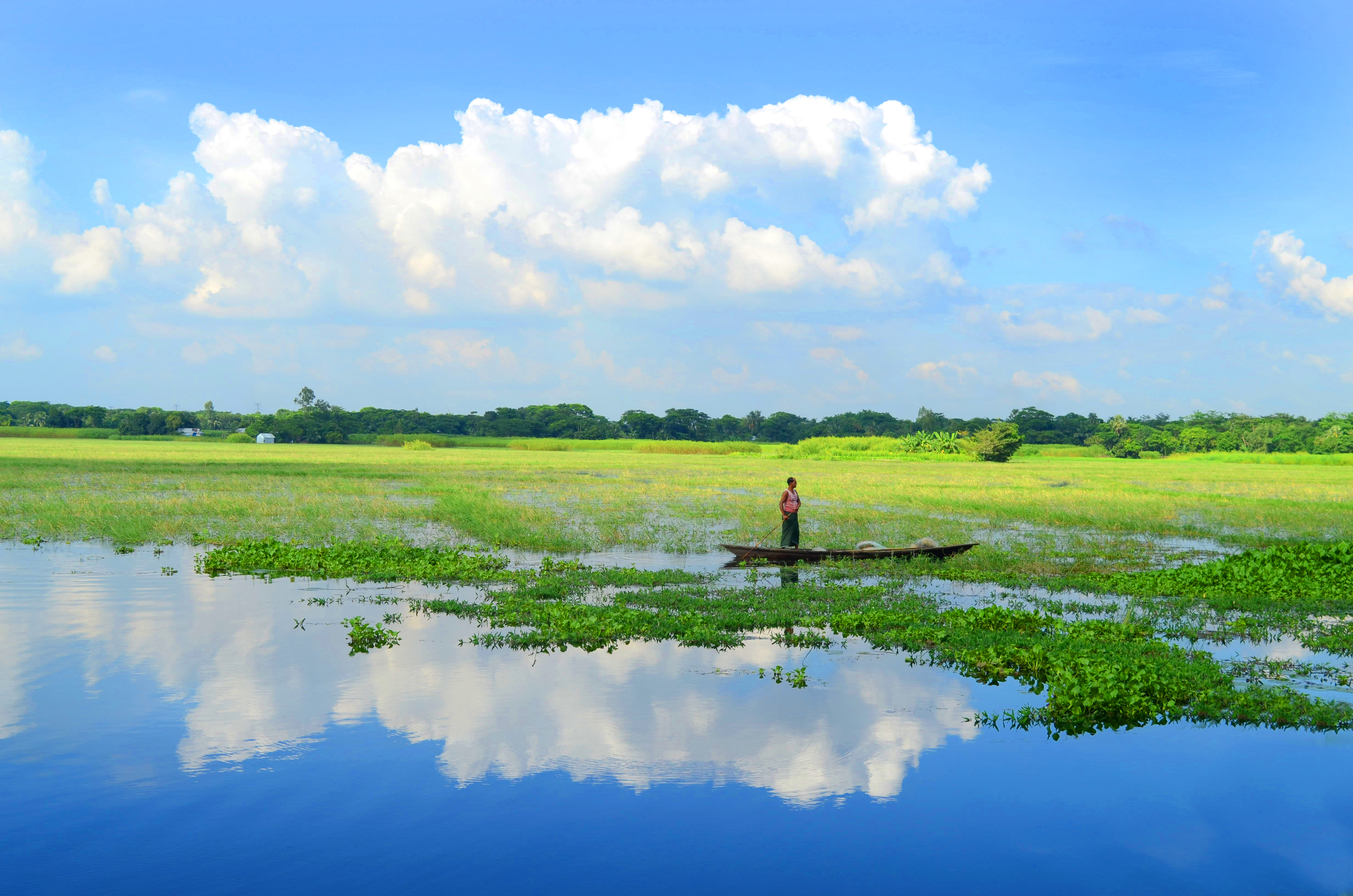 আড়িয়াল বিল