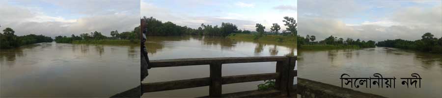 সিলোনীয়া নদী