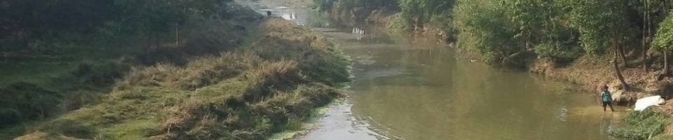 গ্রামীন রাস্তা এবং বাজার