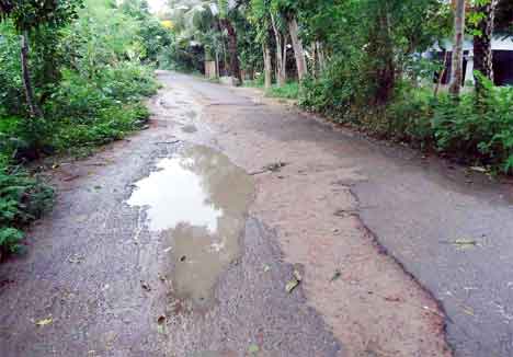 জরূরি কল