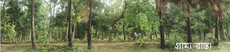 মনসুরনগর ইউনিয়নের অর্ন্তগত গ্রাম্য রাস্তায় তালগাছের সাড়িবদ্ধগাছ।