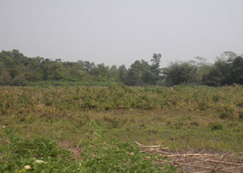 টেংরা রাজার দিঘী