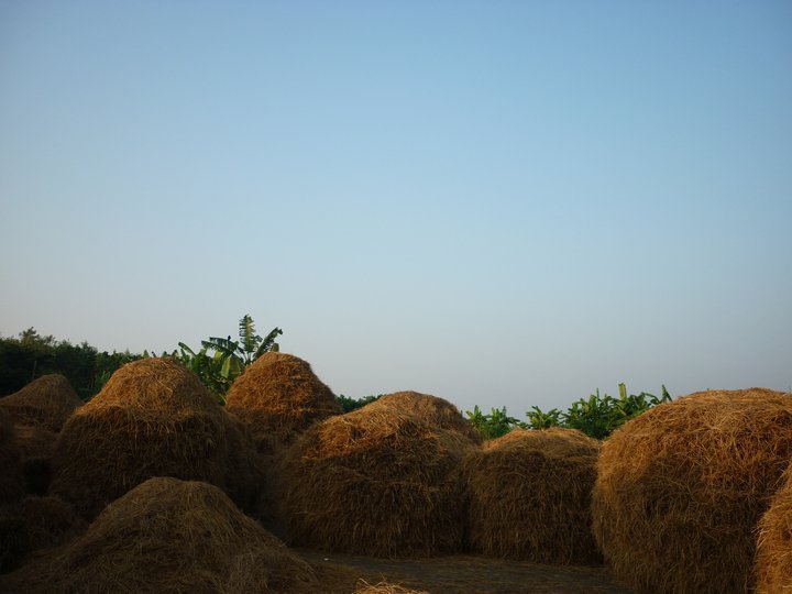 ফটো গ্যালারী