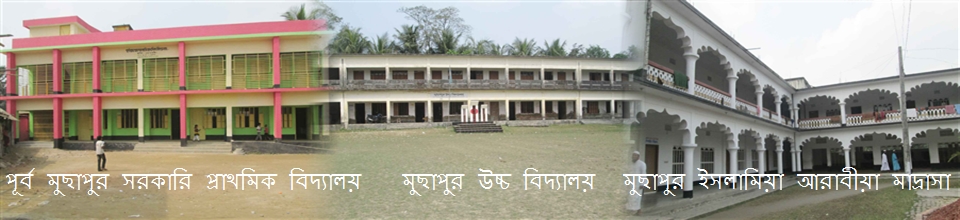 মুছাপুরের ঐতিহ্যবাহি শিক্ষা প্রতিষ্ঠান