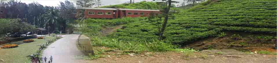 নিম্নতম মজুরী বোর্ড, বাংলাদেশ