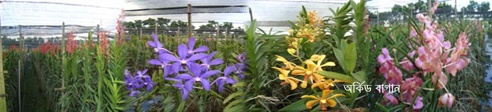 অর্কিড গার্ডেন,ফুলবাড়ীয়া