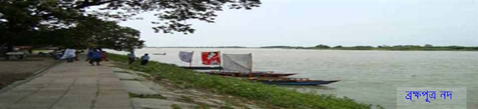 শশ্বুগঞ্জ ব্রীজ, ময়মনসিংহ