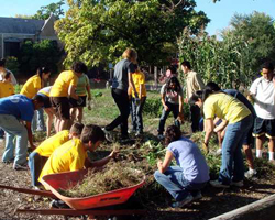 সমাজ সেবা