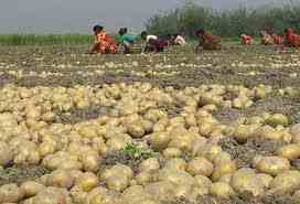 কৃষি ও প্রানীসম্পদ