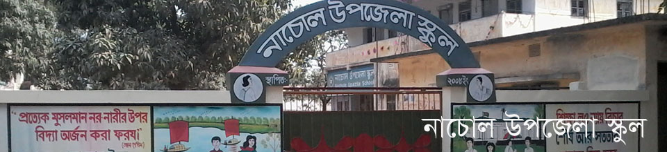 নাচোল উপজেলা স্কুল