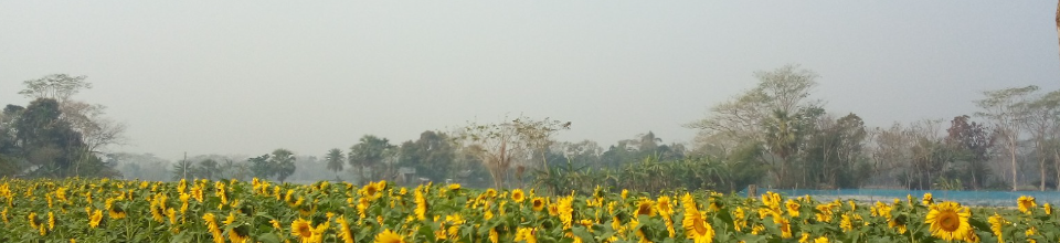 কৃষি ক্ষেত্রে নাগেরপাড়া