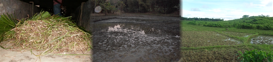 নাইক্ষ্যংছড়ি সদর ইউনিয়ন