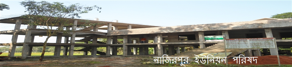 ৯নং নাজিরপুর ইউনিয়ন পরিষদ