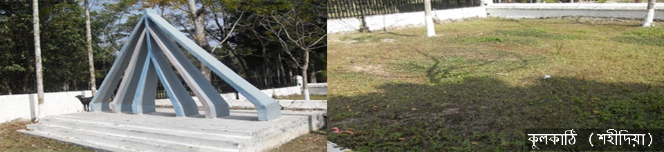 কুলকাঠি (শহীদিয়া)