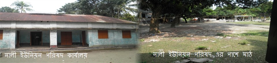 নালী ইউনিয়ন