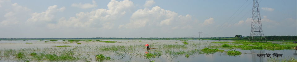 ধলাই বিল