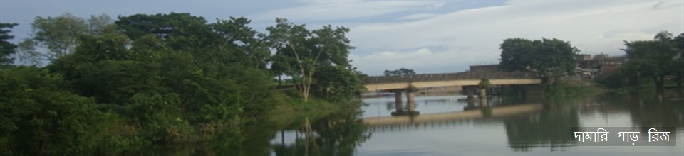 সালুটিকর দামারীপার ব্রীজ