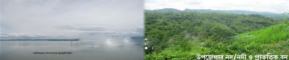 নানিয়ারচরের প্রাকৃতিক দৃশ্য