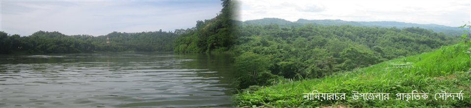 নানিয়ারচর উপজেলার প্রাকৃতিক দৃশ্য