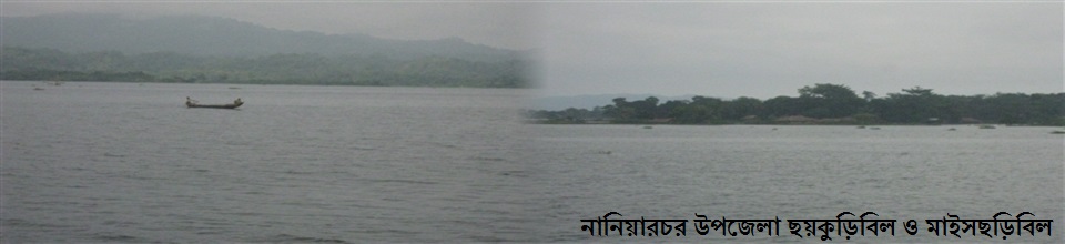 নানিয়ারচর ইউনিয়নের ছয়কুড়িবিল ও মাইসছড়িবিল