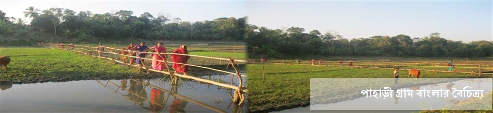 পাহাড়ী গ্রাম বাংলার বৈচিত্র্য