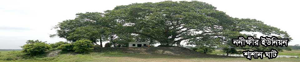 ননীক্ষীর ইউনিয়ন