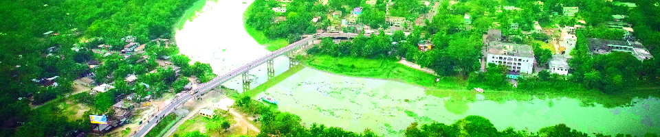 চিত্রা