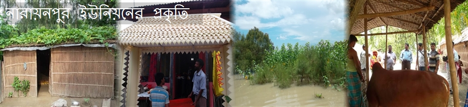 নারায়নপুরের প্রকৃতি