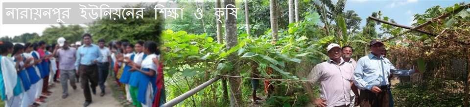 নারায়নপুরের শিক্ষা ও কৃষি
